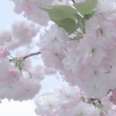 南雄福瑞交流群